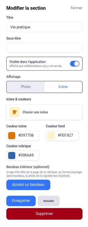 Panneau Modifier la section : titre, sous-titre, visibilité, affichage, icône, couleurs, bandeau